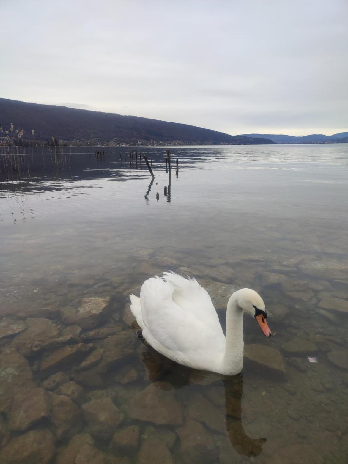 Chambre Atypique 2 Pers 200M Du Lac サン・ジョリオ エクステリア 写真